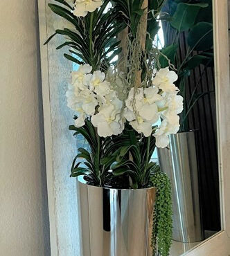 White Vandas in Stainless Steel Cone Planter