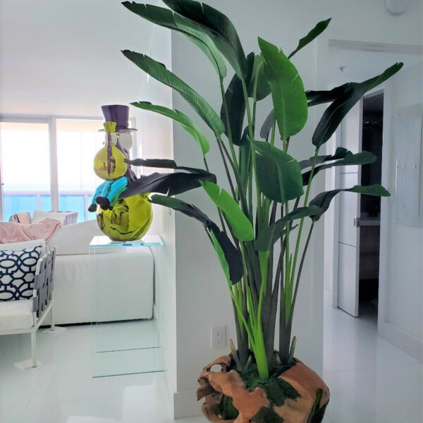 Large Vase Made of Teak Wood with Magnificent Strelitzia (Bird of Paradise)