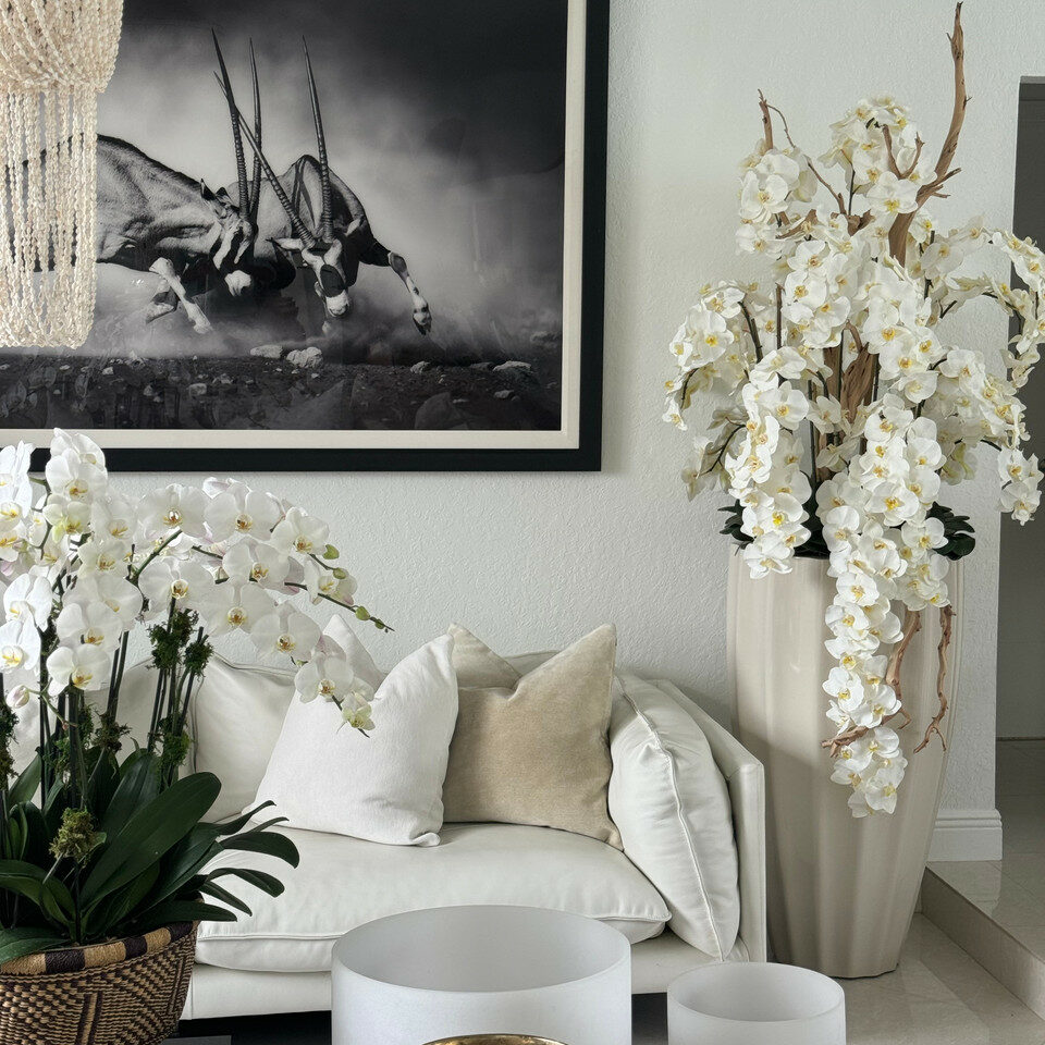 San Jose Beige Sand Vase with White Orchids in Cascade