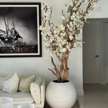 White magnolia tree in shiny white globe pot 30″