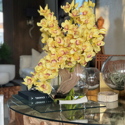 Yellow Cymbidiums in Lunar Pot